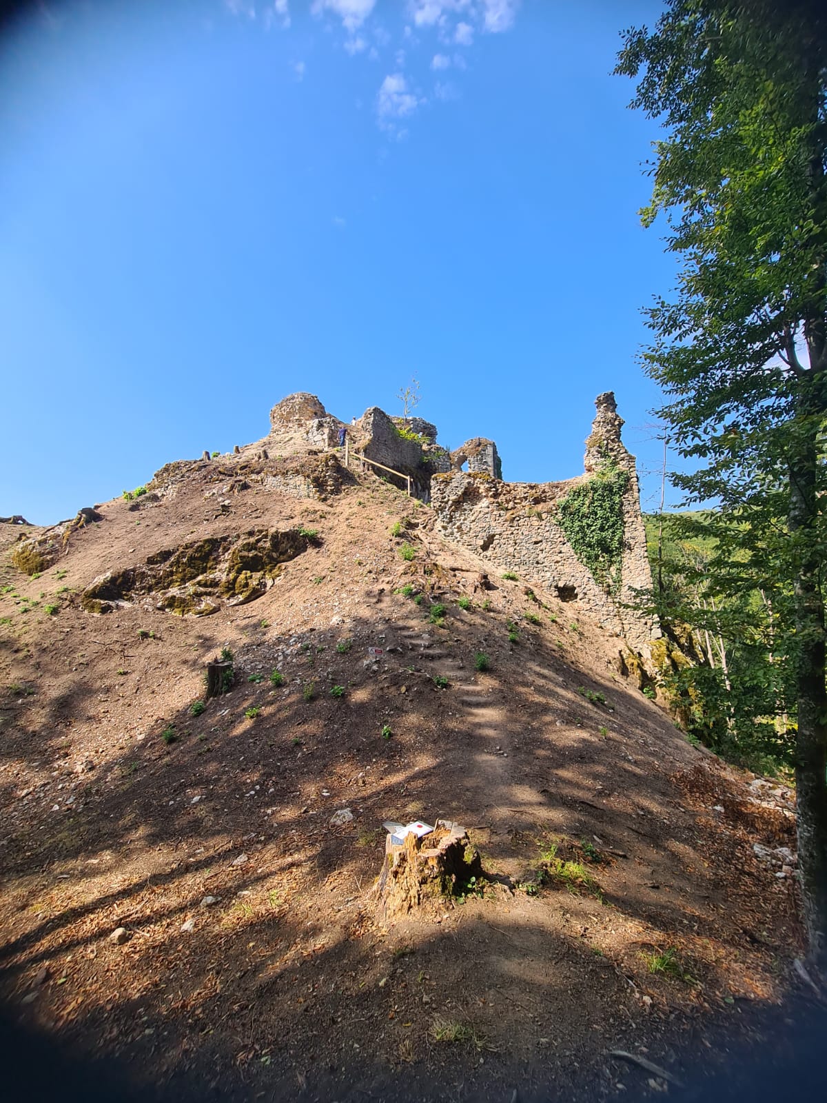 Cetatea piatra soimului vazuta dinspre est