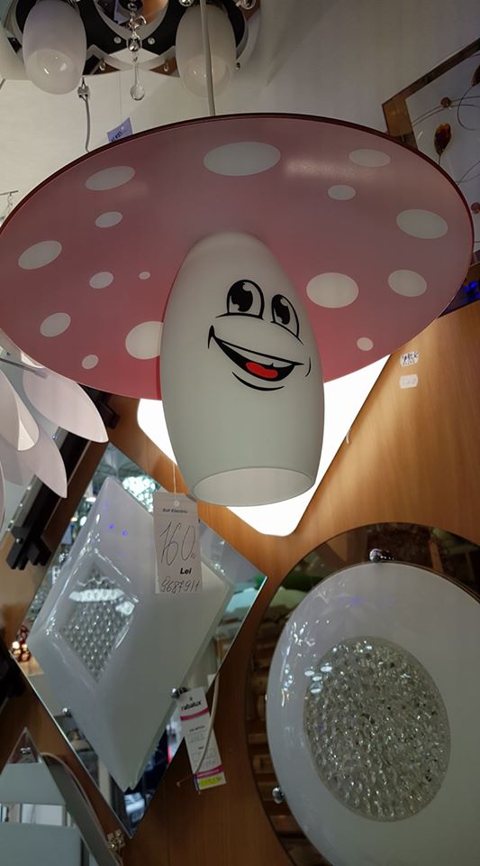 22829406_749589888564881_7678469800390964490_o