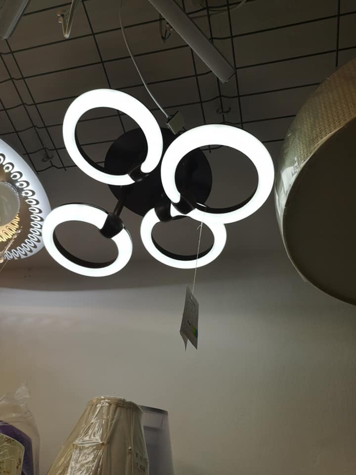 54433835_1047179492139251_5795659616893272064_n