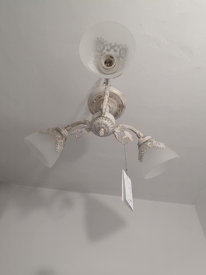 66149236_1122658611258005_1005461735303282688_n