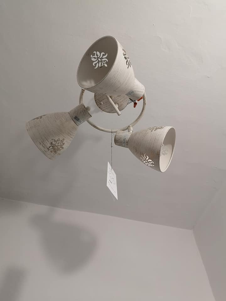 66187504_1122658474591352_8111207998065475584_n