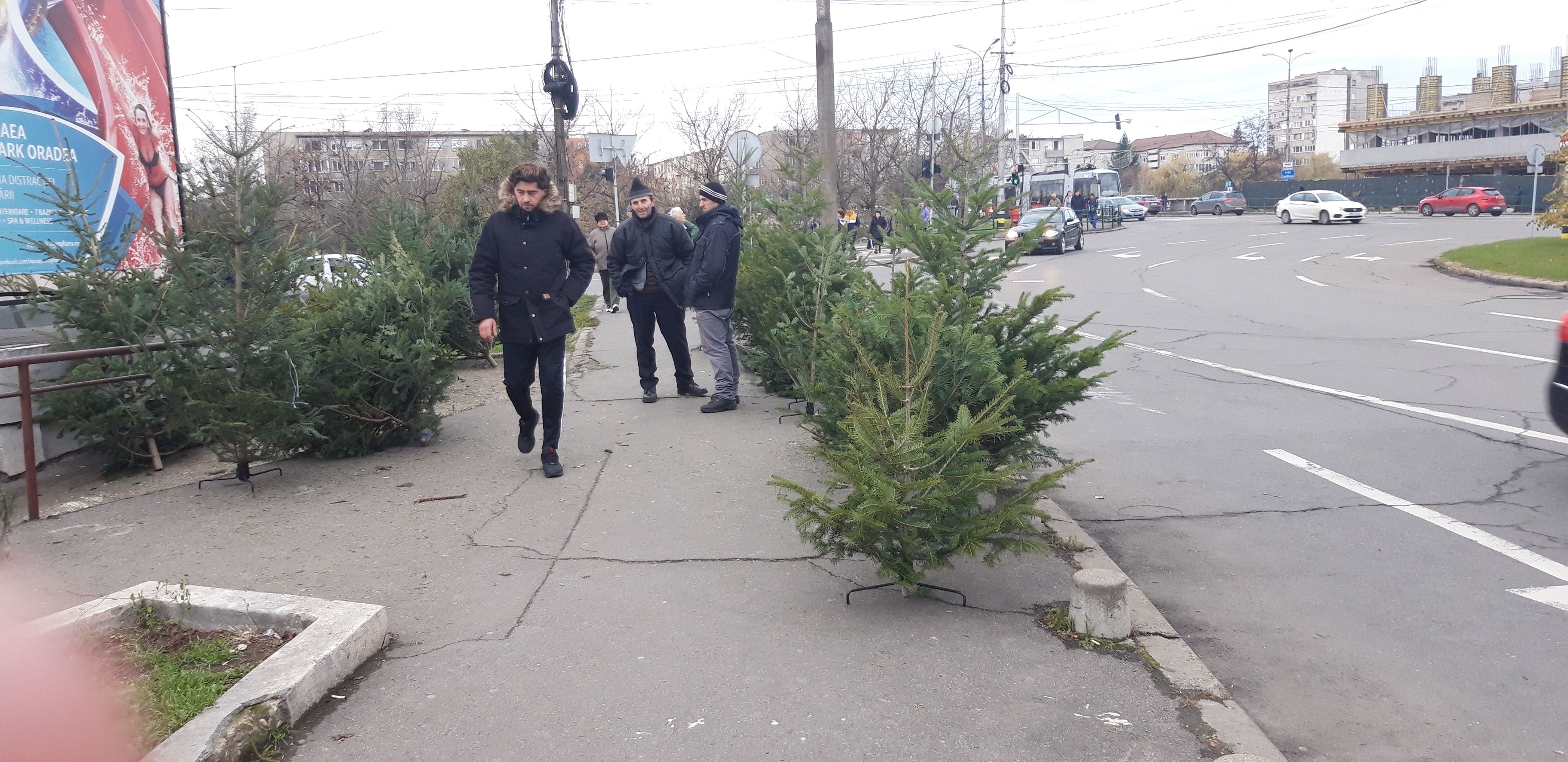 79644940_509155316612429_6835849280930971648_n