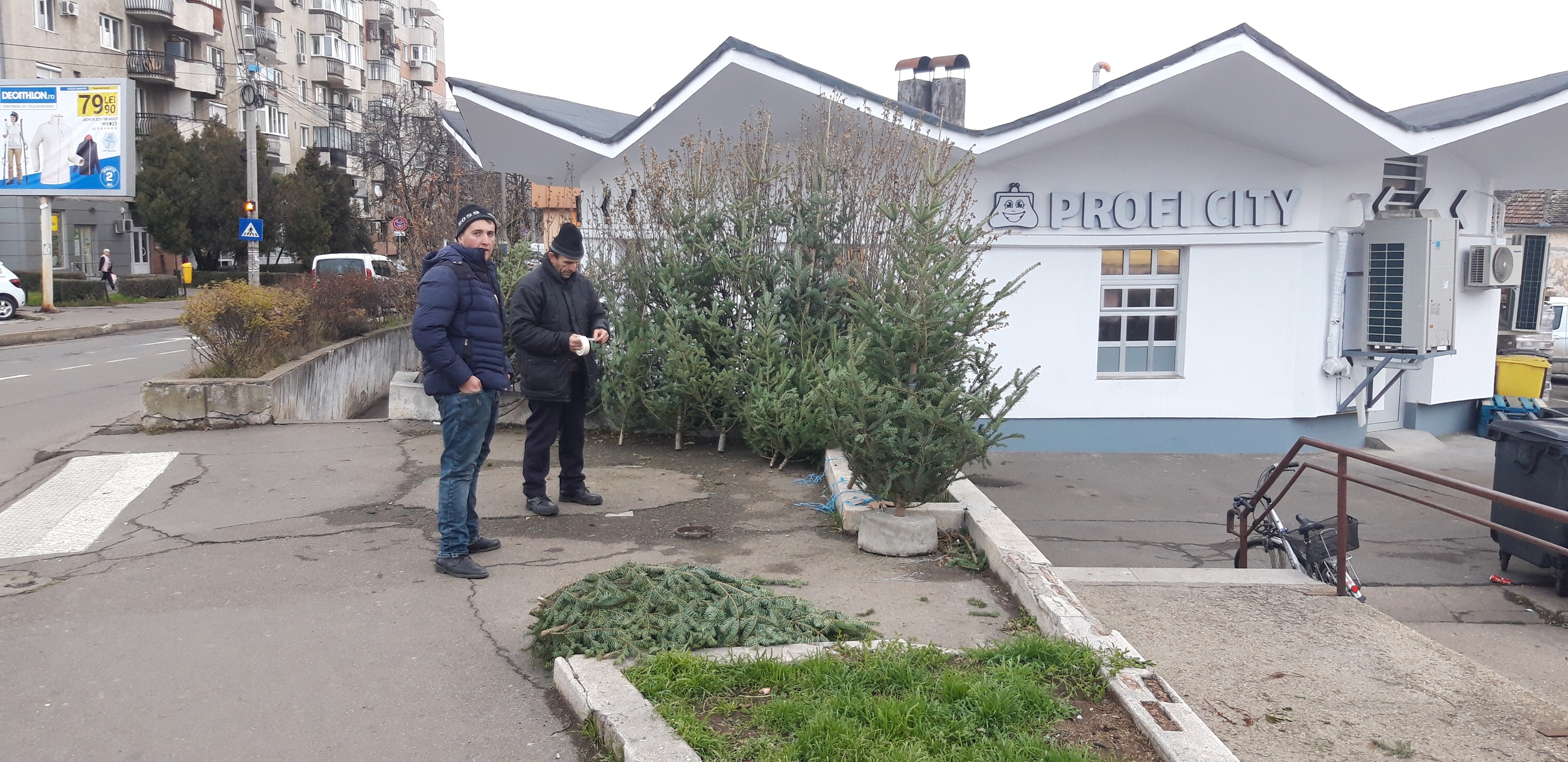 FOTO: Brazi de Crăciun 16.12.2019