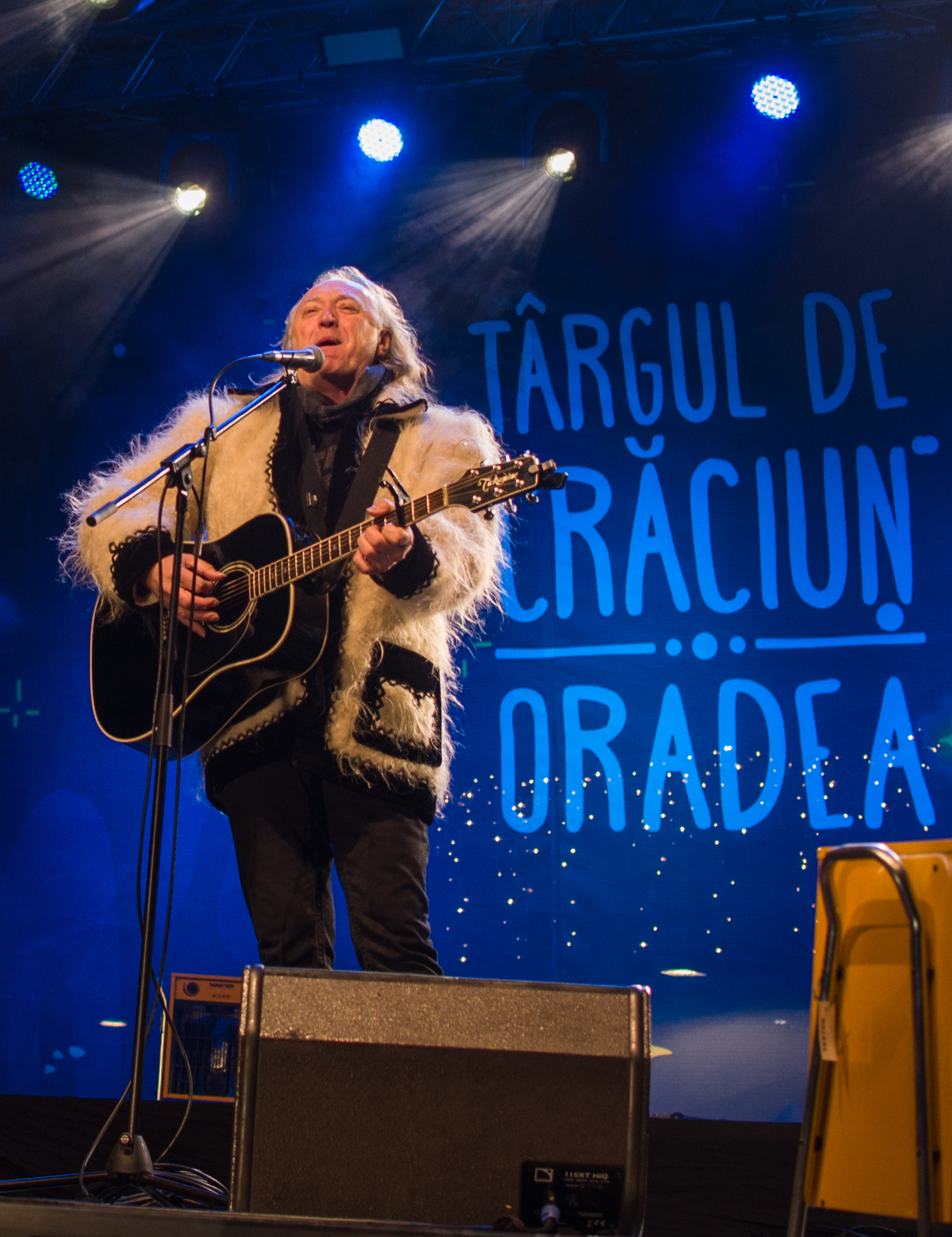 concert hrusca oradea (1)