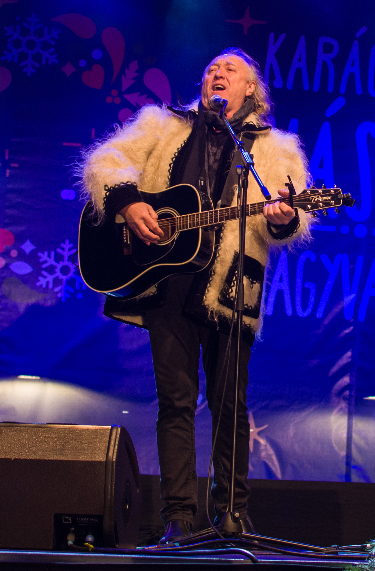 concert hrusca oradea (10)