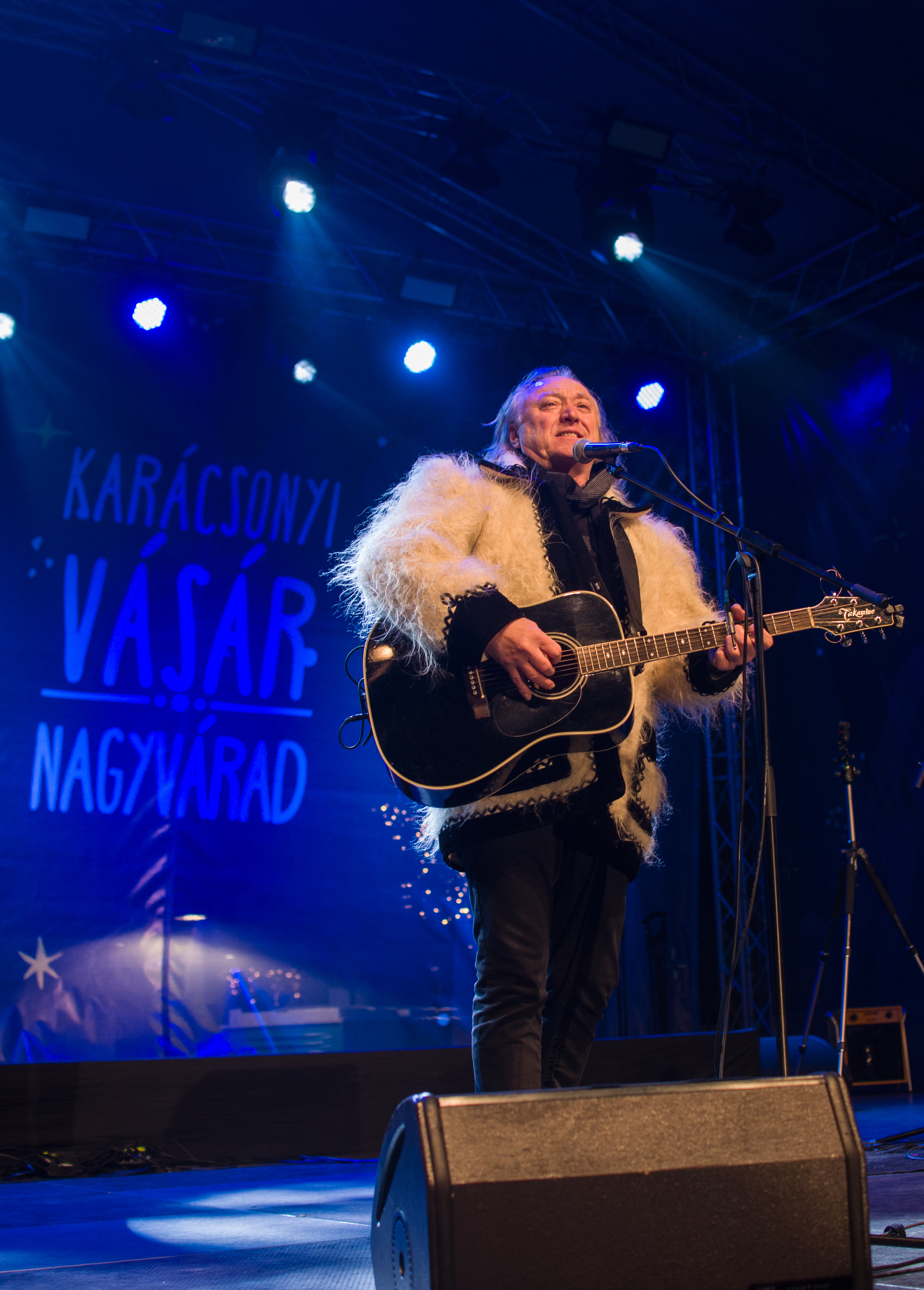 concert hrusca oradea (11)