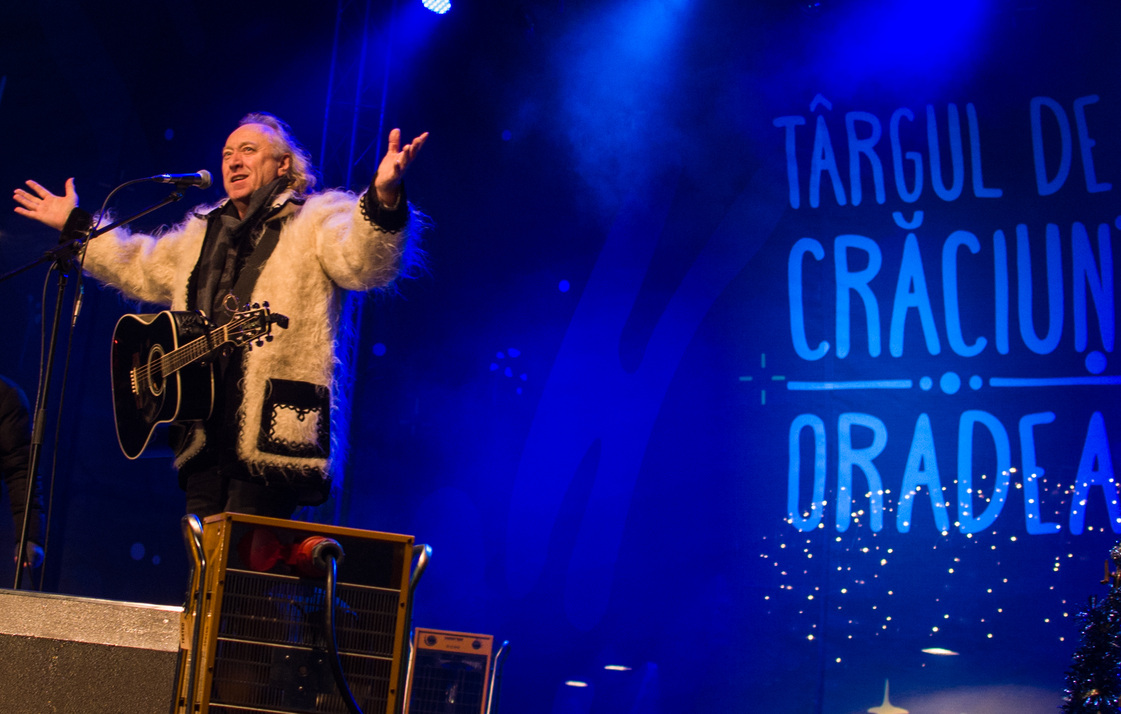 concert hrusca oradea (13)