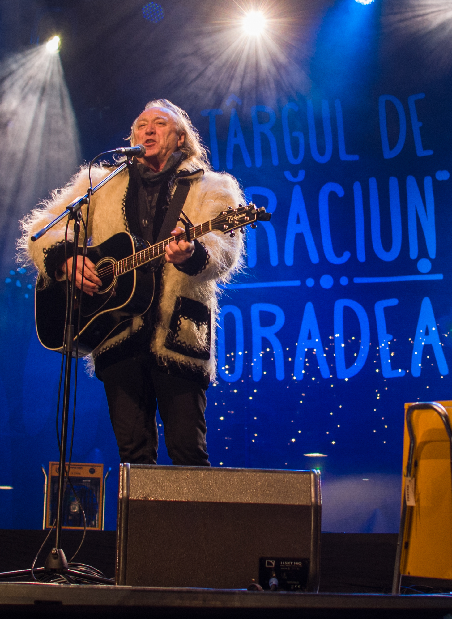 concert hrusca oradea (2)