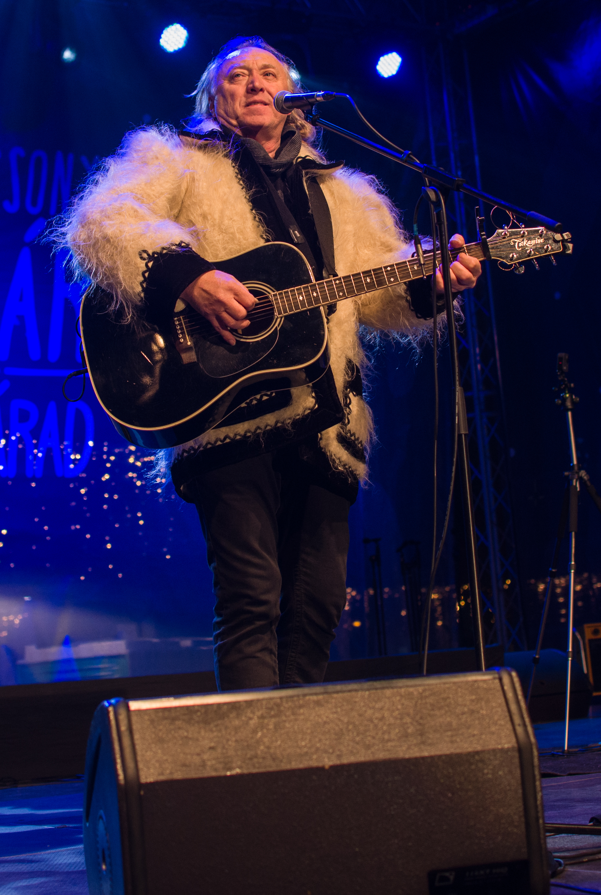 concert hrusca oradea (3)