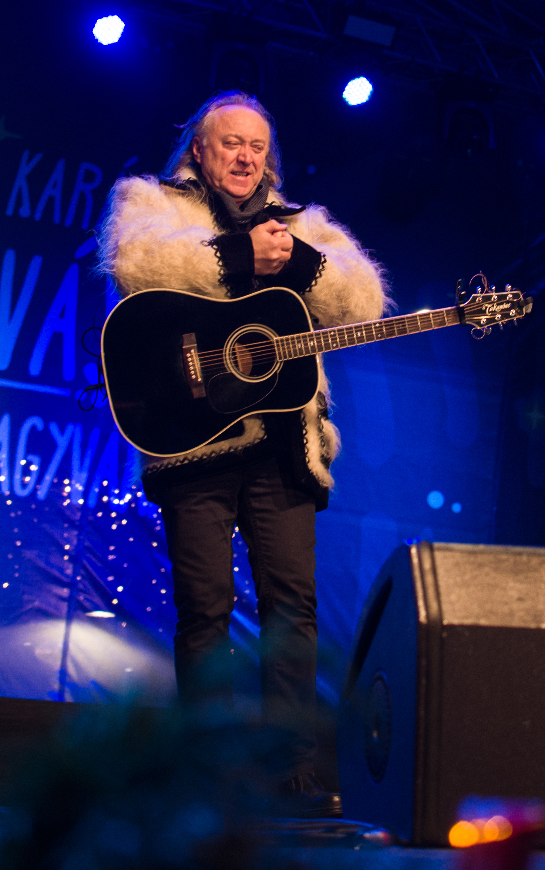 concert hrusca oradea (5)