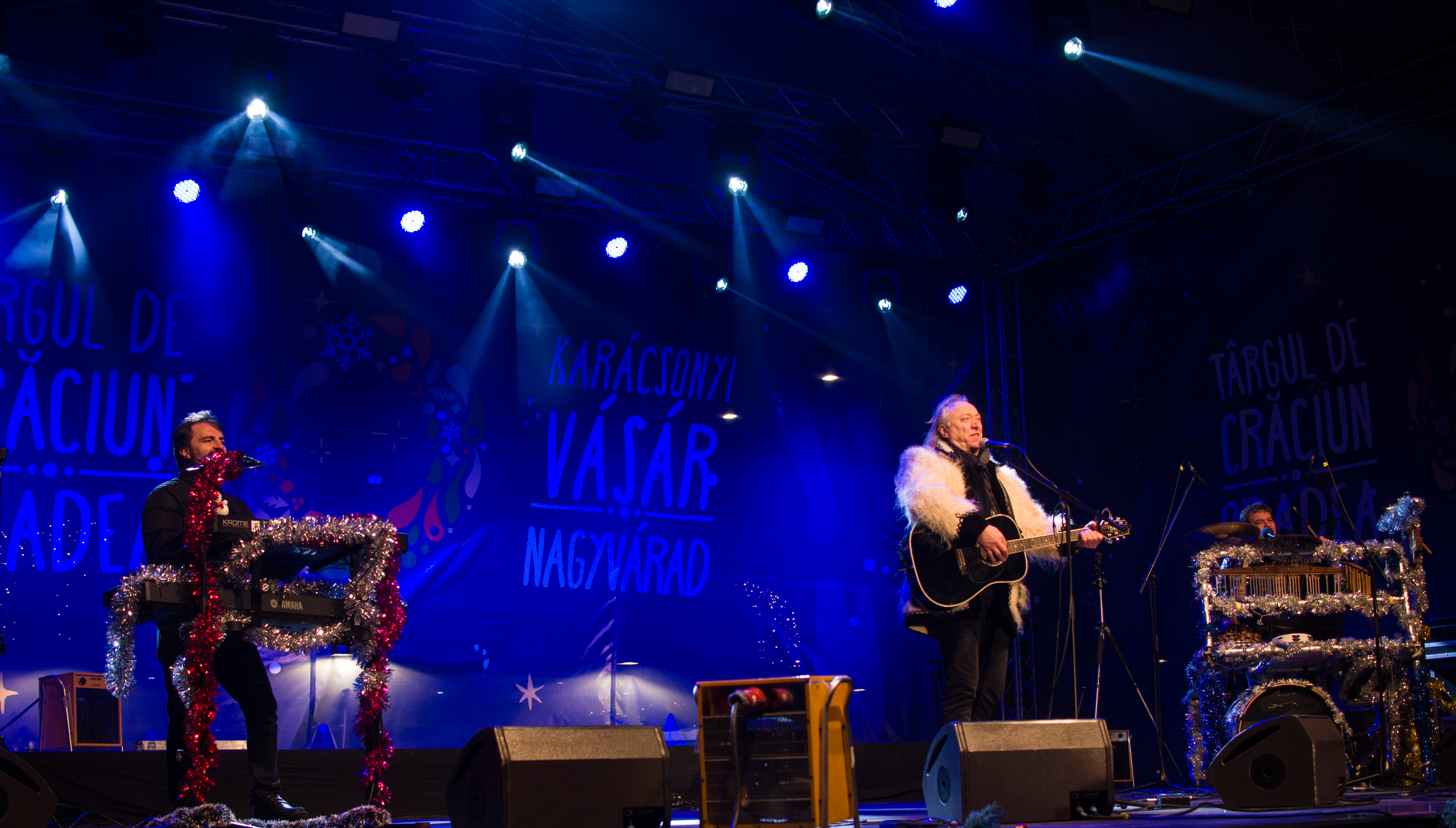 concert hrusca oradea (7)