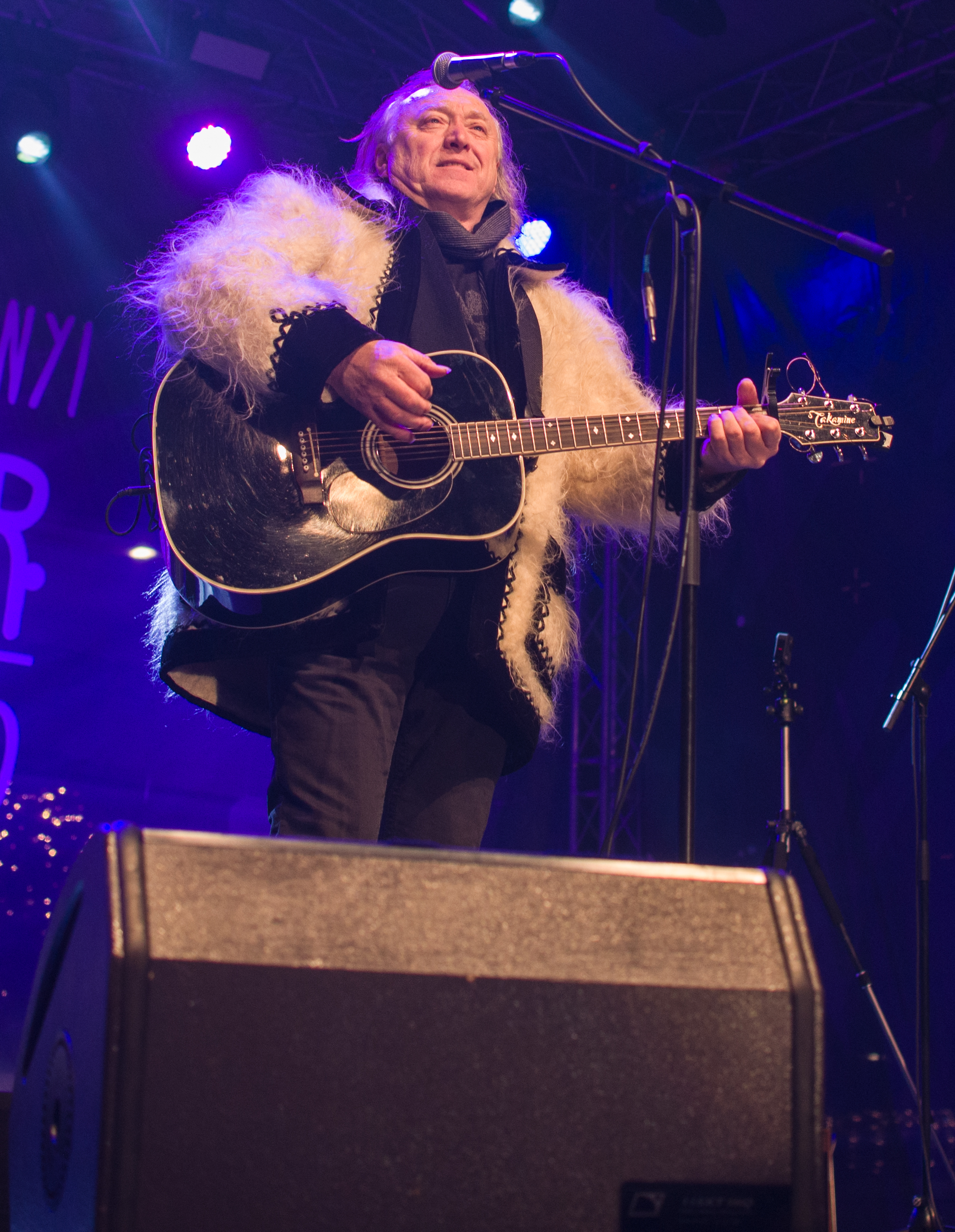 concert hrusca oradea (9)