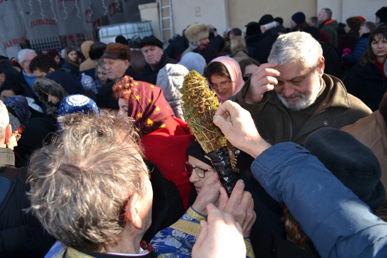 boboteaza oradea (17)