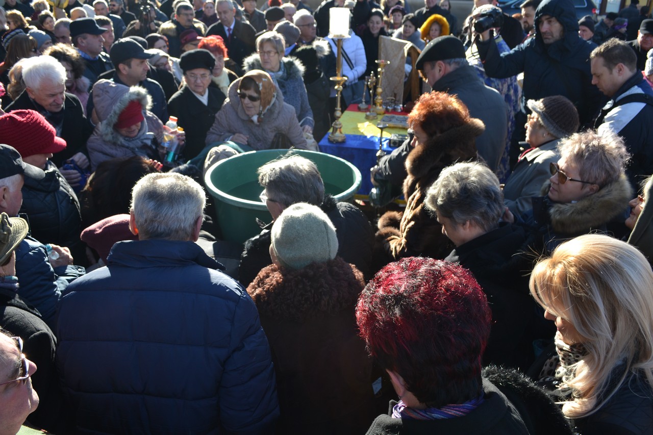 boboteaza oradea (20)