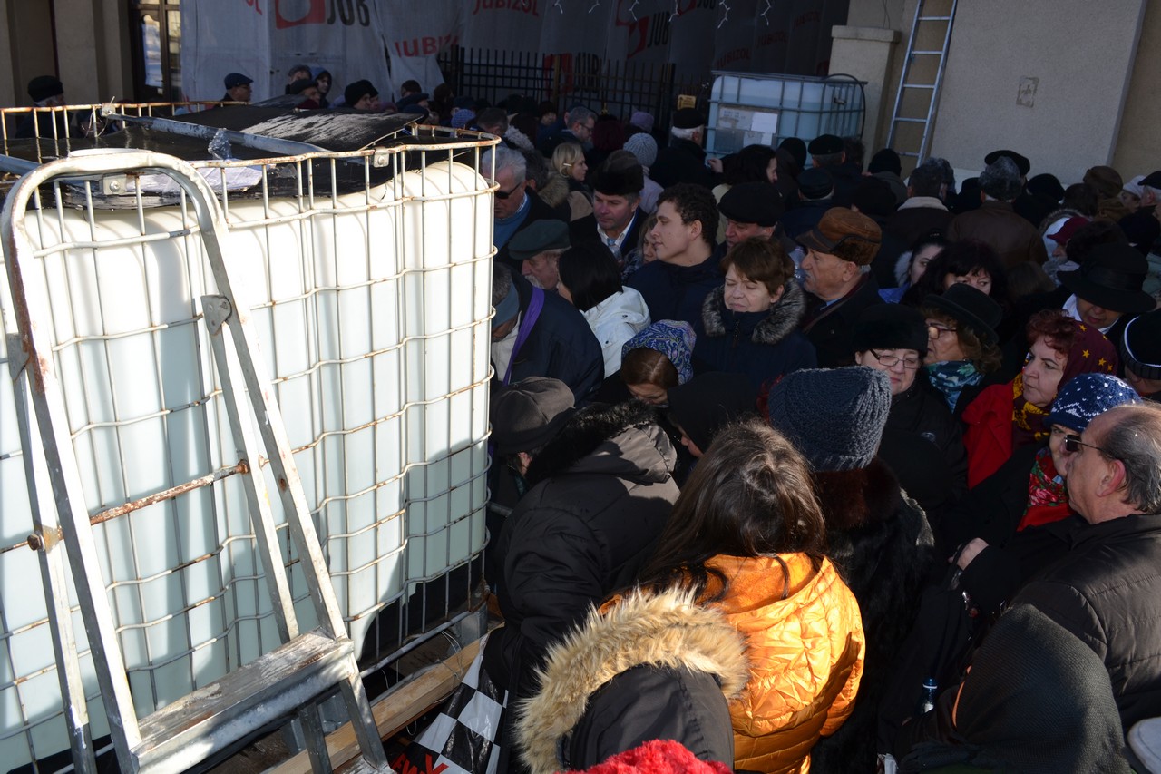 boboteaza oradea (22)