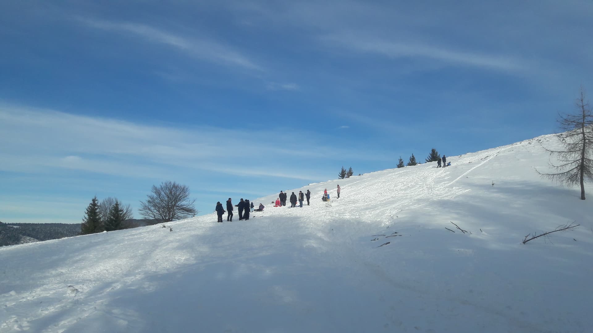 cozi stana de vale (1)