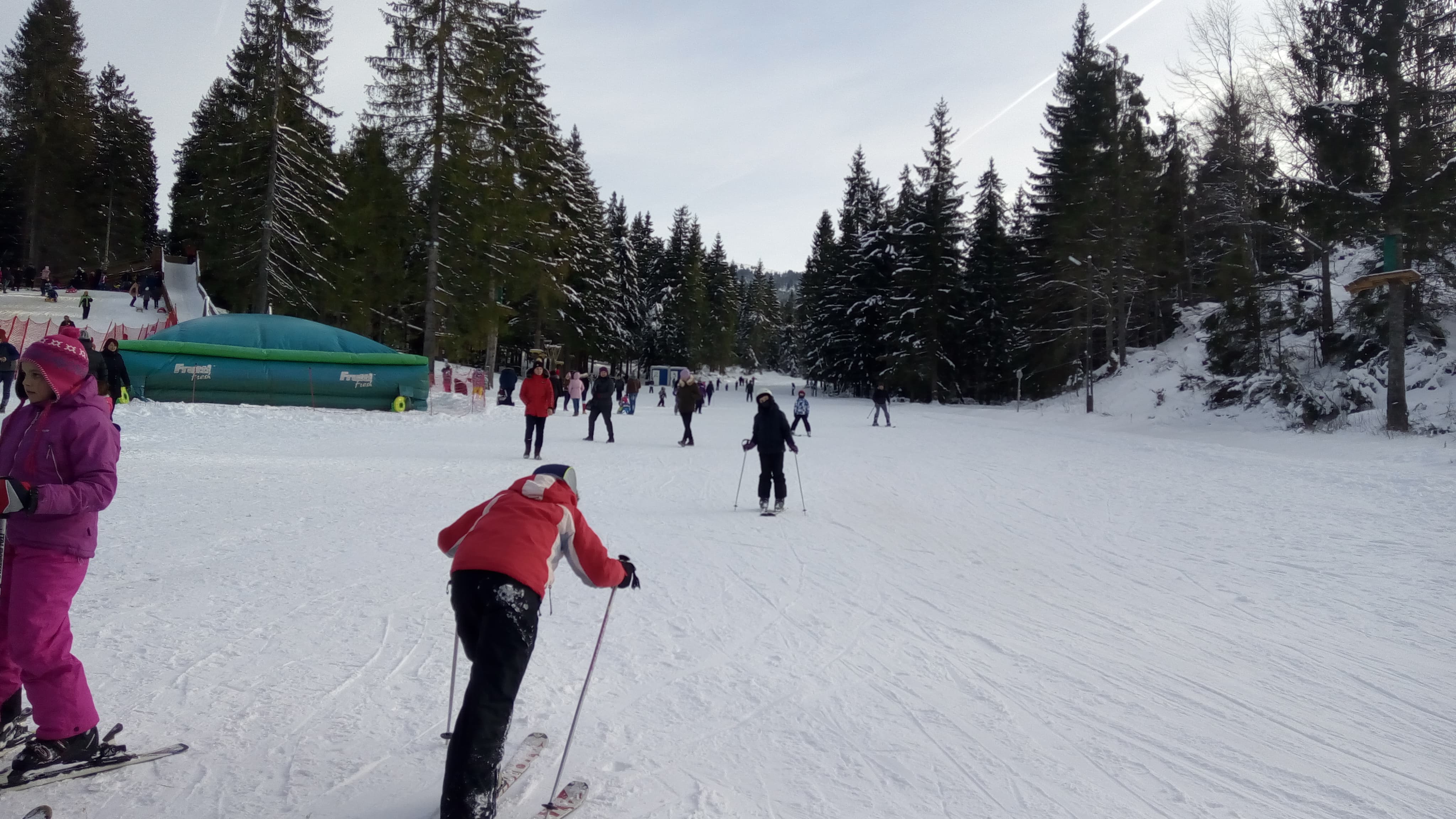 cozi stana de vale (10)