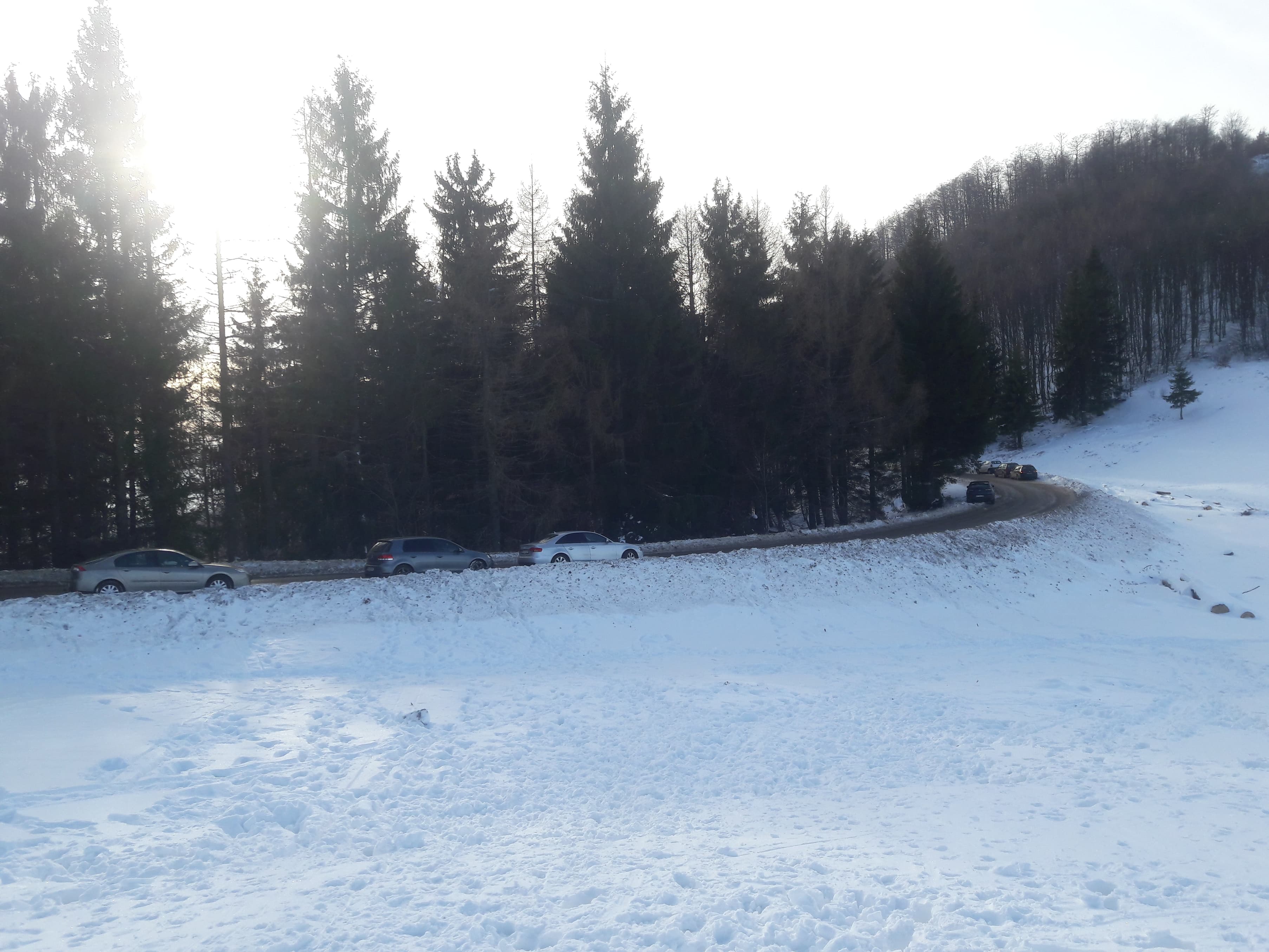 cozi stana de vale (11)