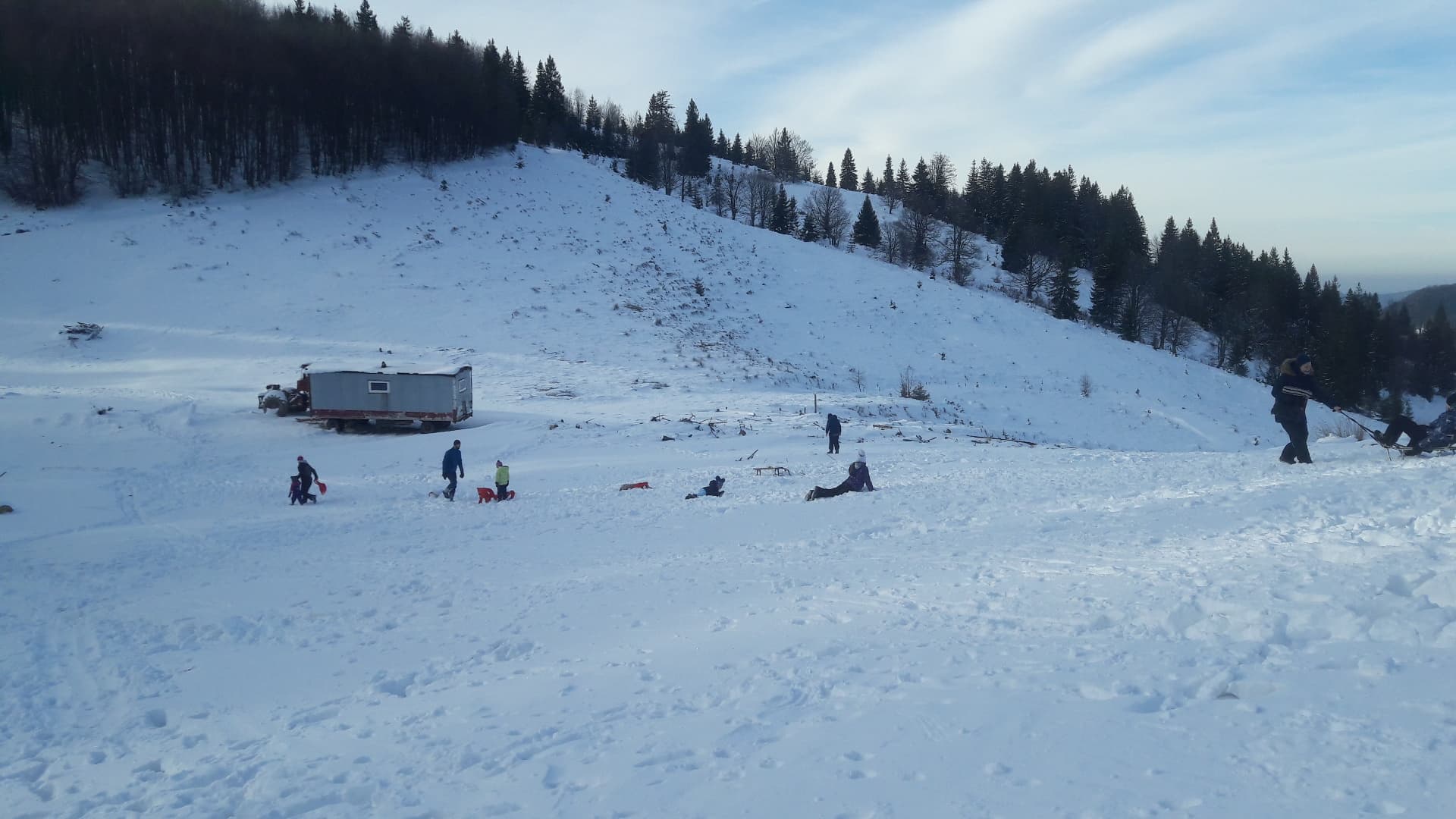 cozi stana de vale (12)