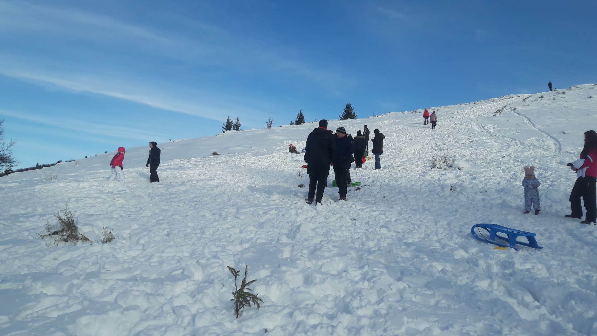 cozi stana de vale (13)