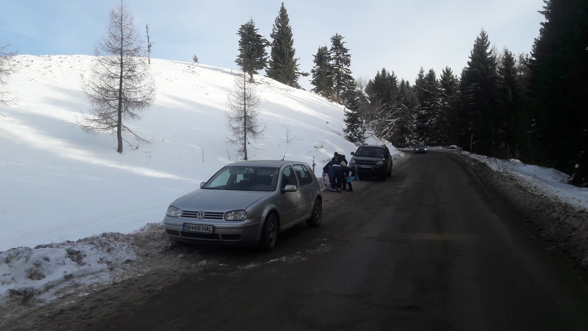 cozi stana de vale (3)