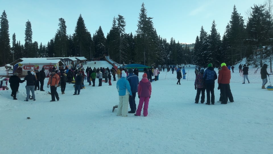 cozi stana de vale (5)