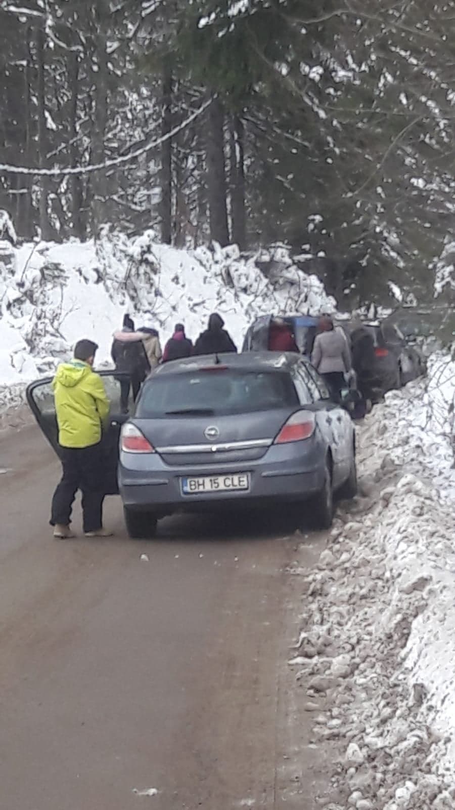 cozi stana de vale (7)