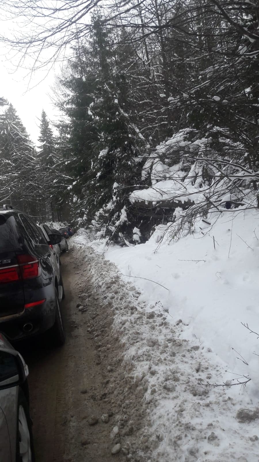 cozi stana de vale (8)