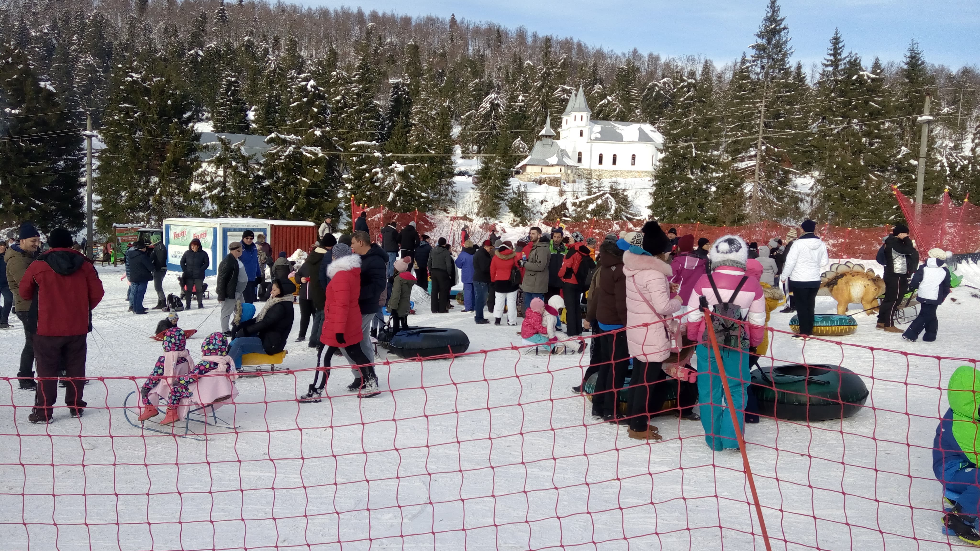 cozi stana de vale (9)