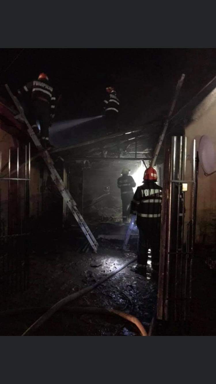 thumbnail_5cc73721-27c0-4287-971a-b75d85e71419