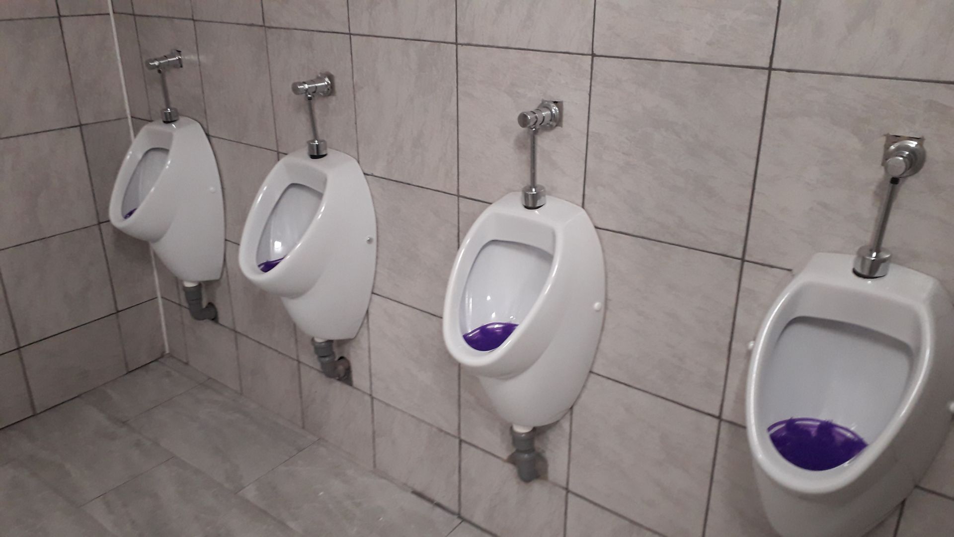 wc toaleta gara oradea (4)