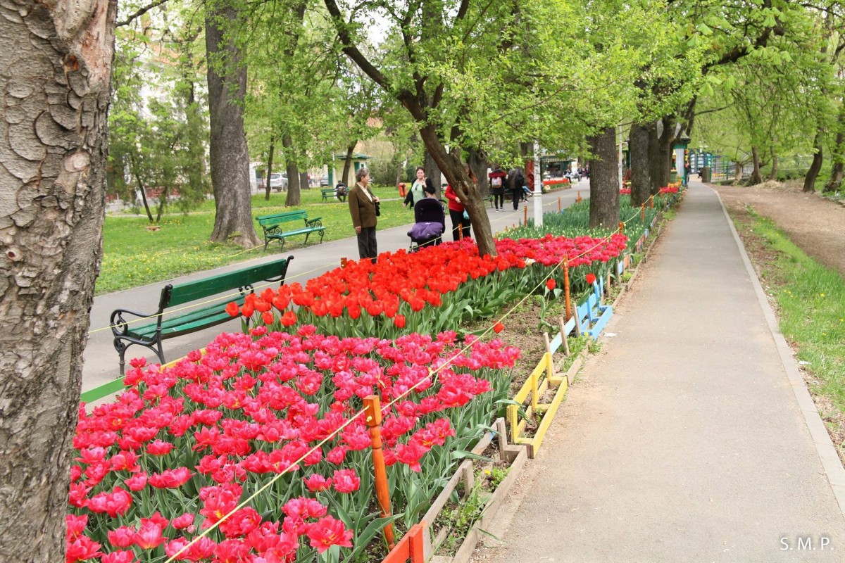 17814430_499778630146274_1113269146144750109_o