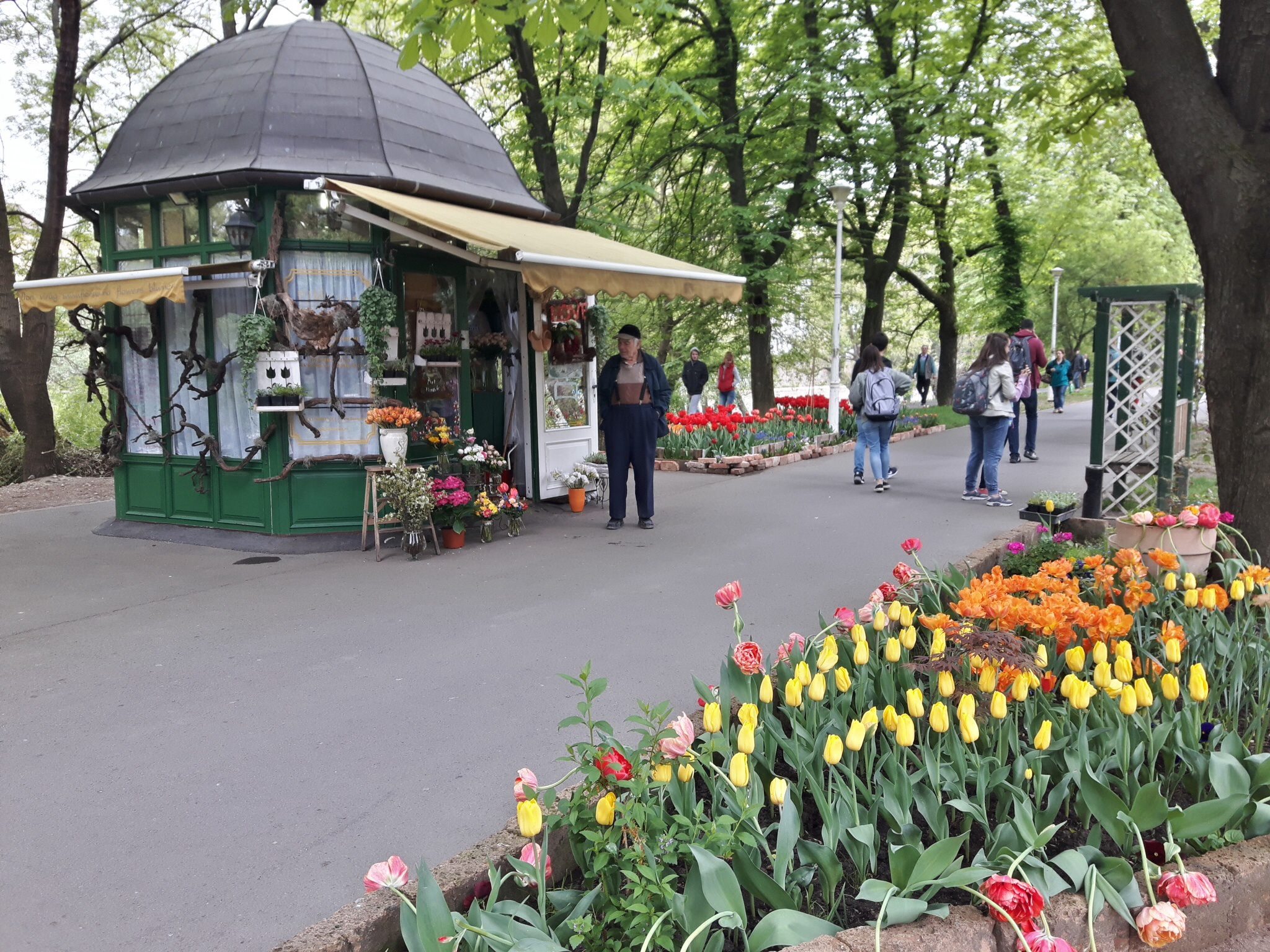 22048168_1013154045502998_7844911614113473405_o