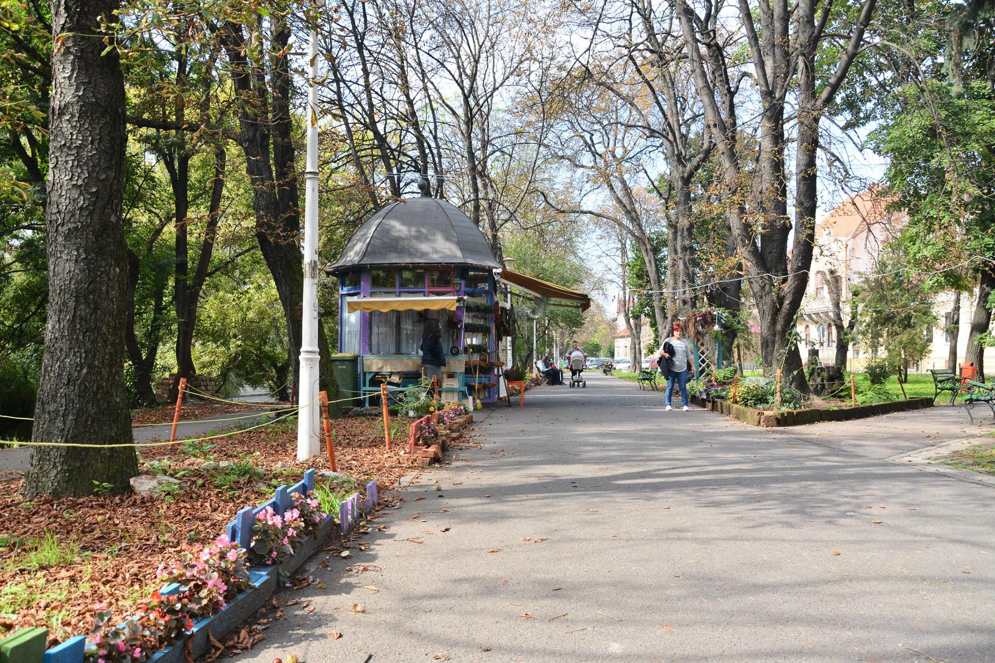 22050939_1509123119148484_1944679351474129242_o