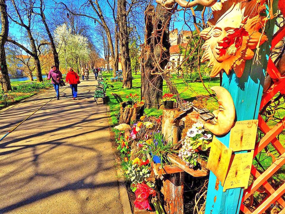 55443336_1392478324237233_4709804035203399680_n