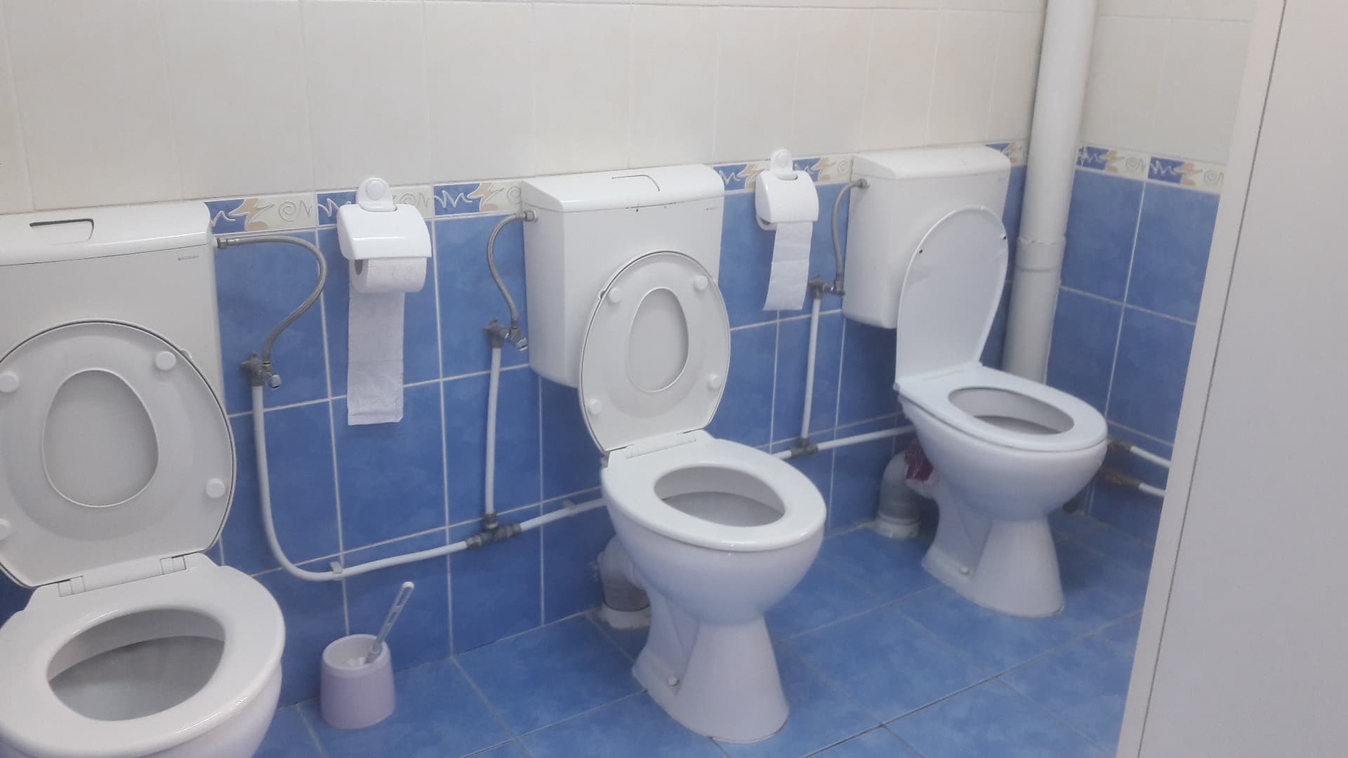 86796420_2596606347222297_5090322413753729024_n