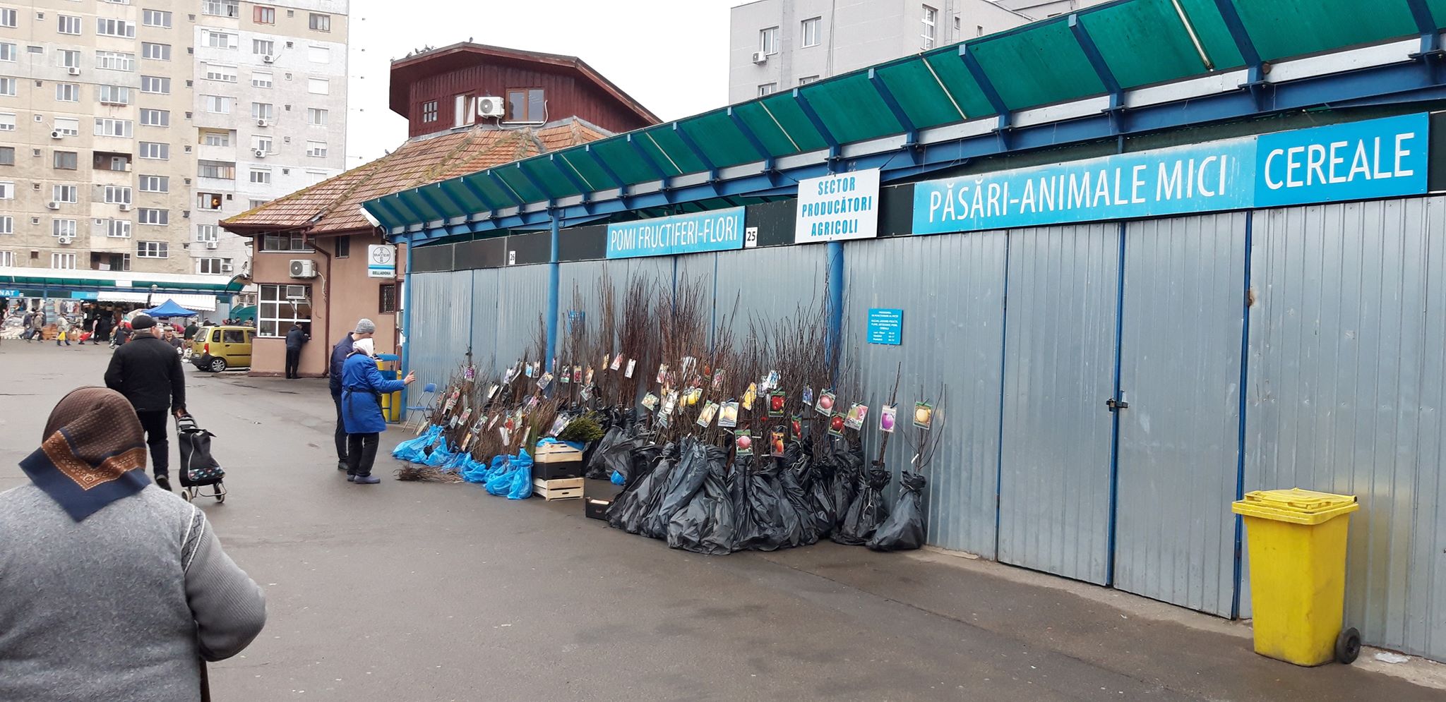 86974127_636231527189060_2253122045137125376_n