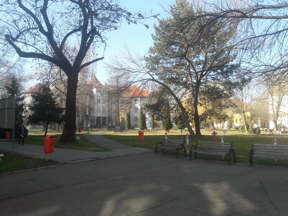 87012020_192363282011759_2318164647615660032_n