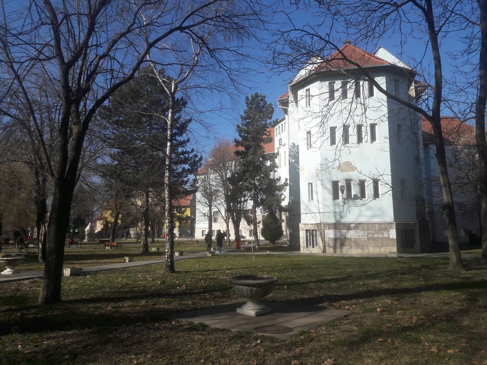 FOTO: Renovări clădiri Universitatea Oradea 20.02.2020