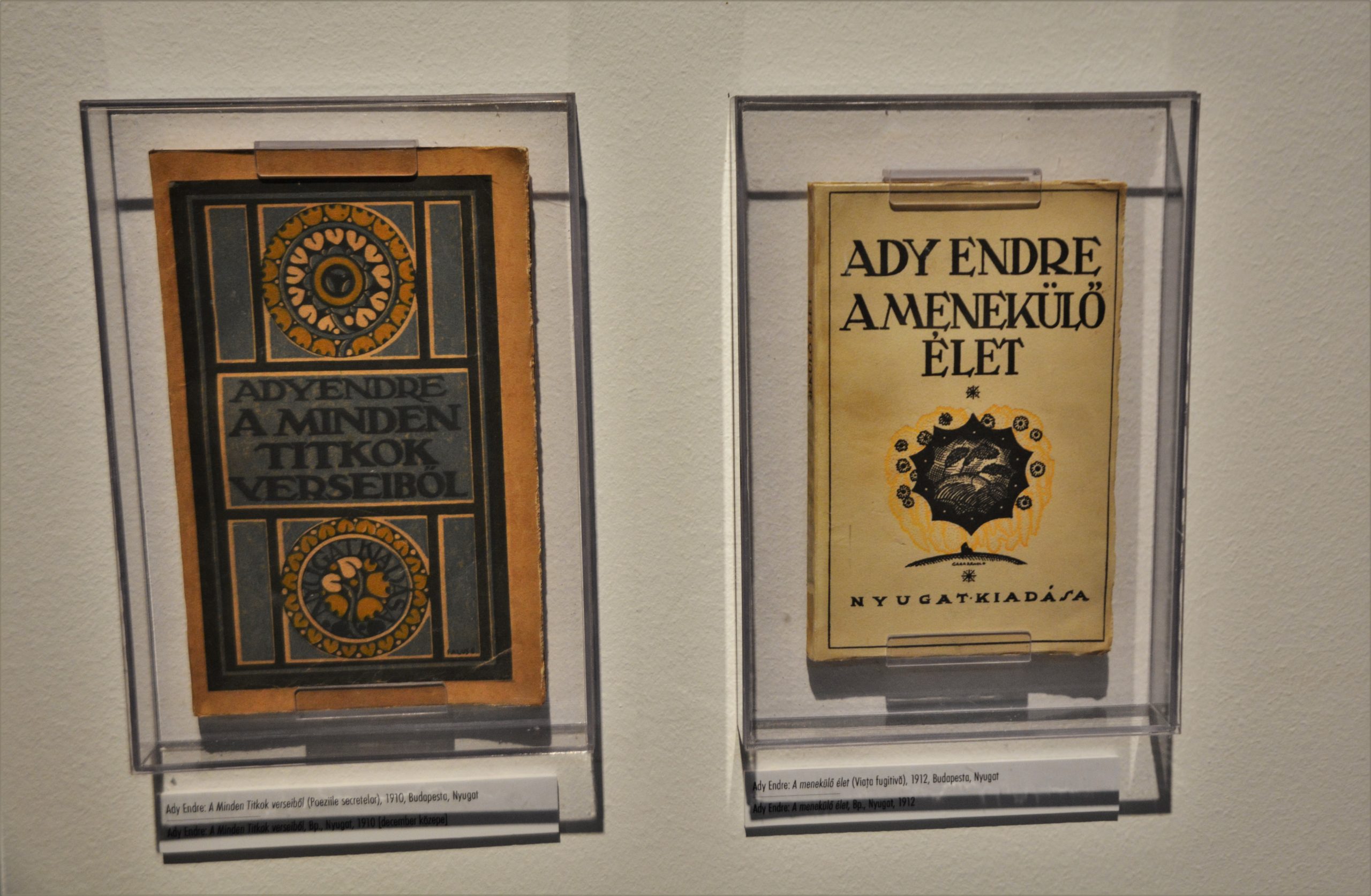 muzeul ady endre oradea (19)