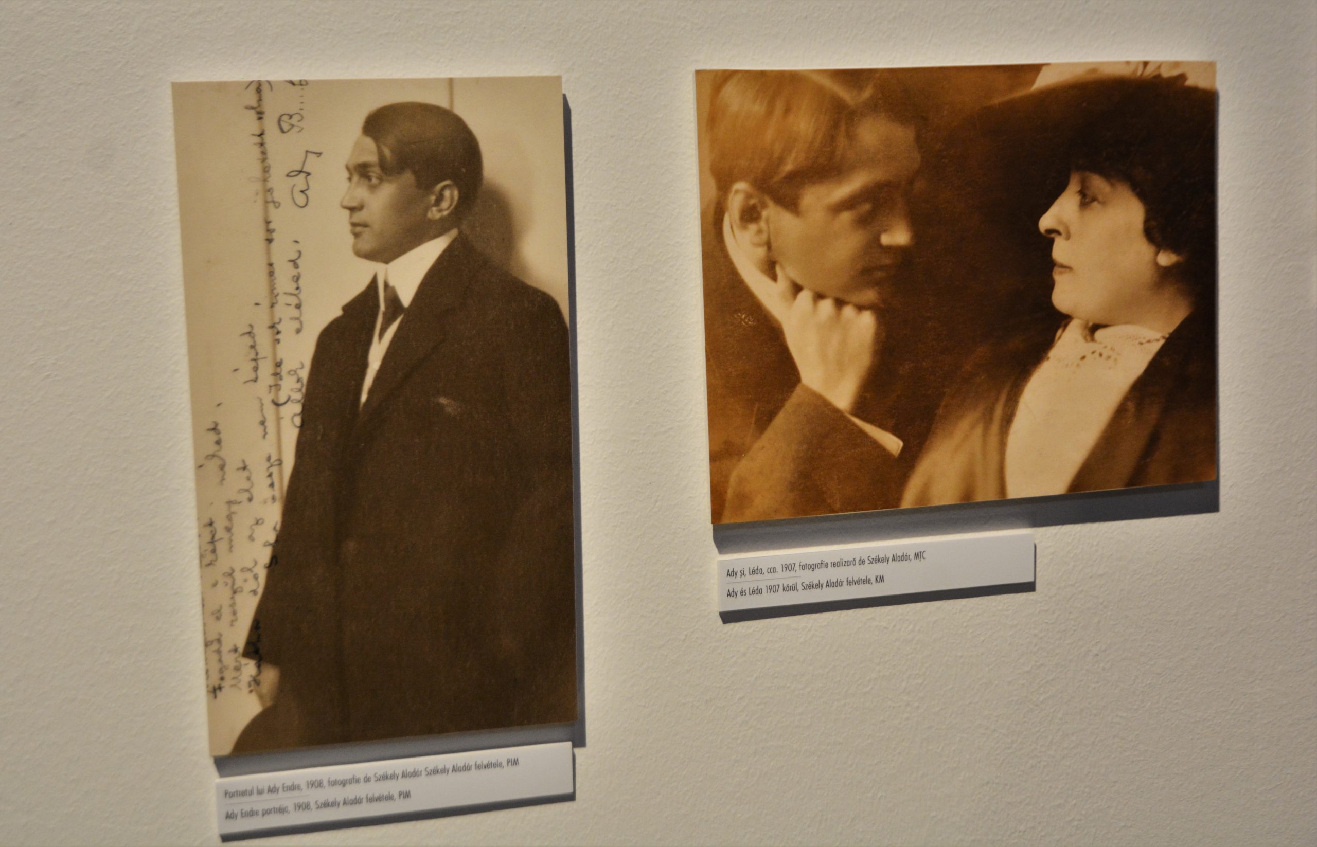muzeul ady endre oradea (20)