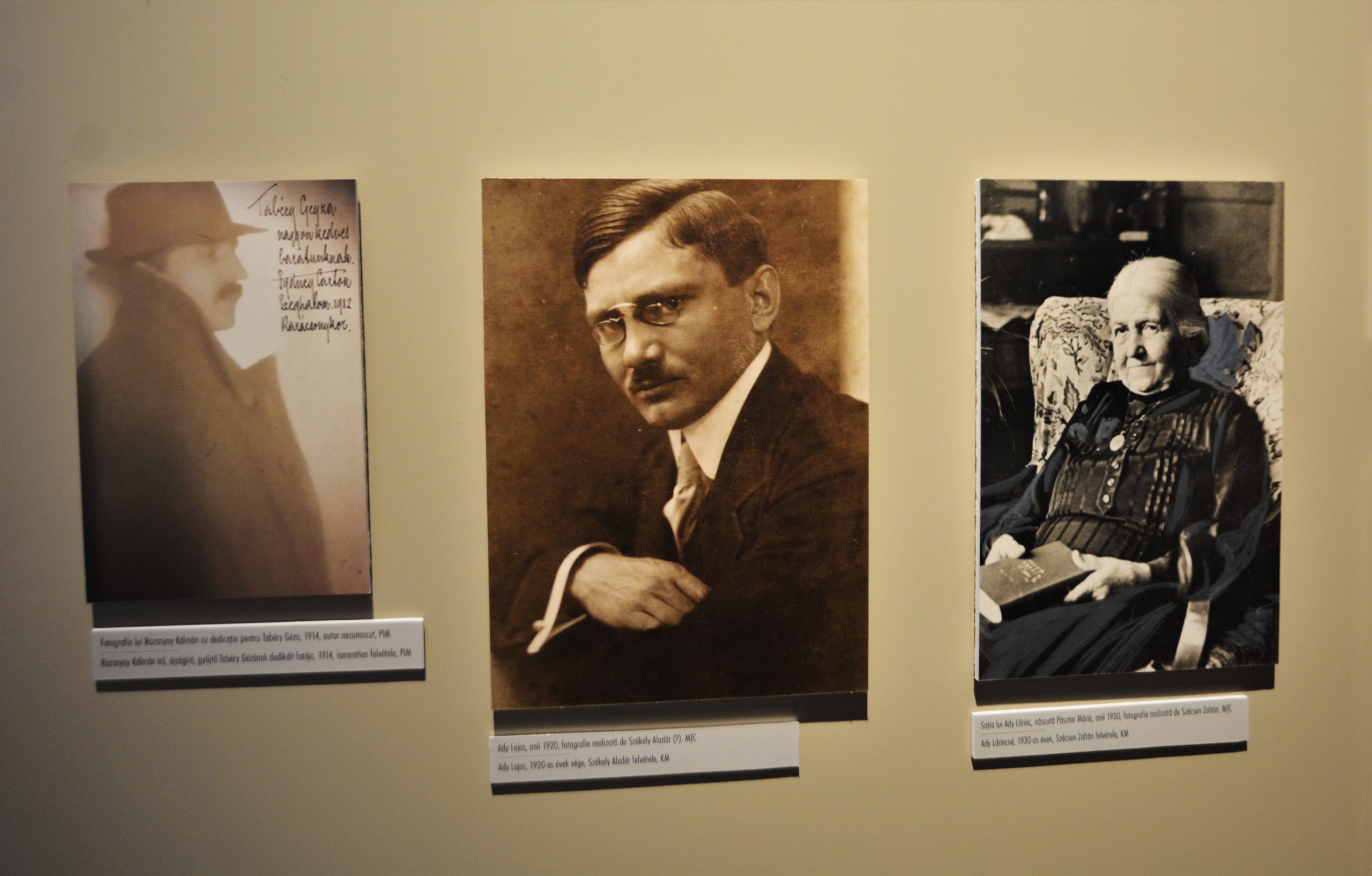 muzeul ady endre oradea (24)