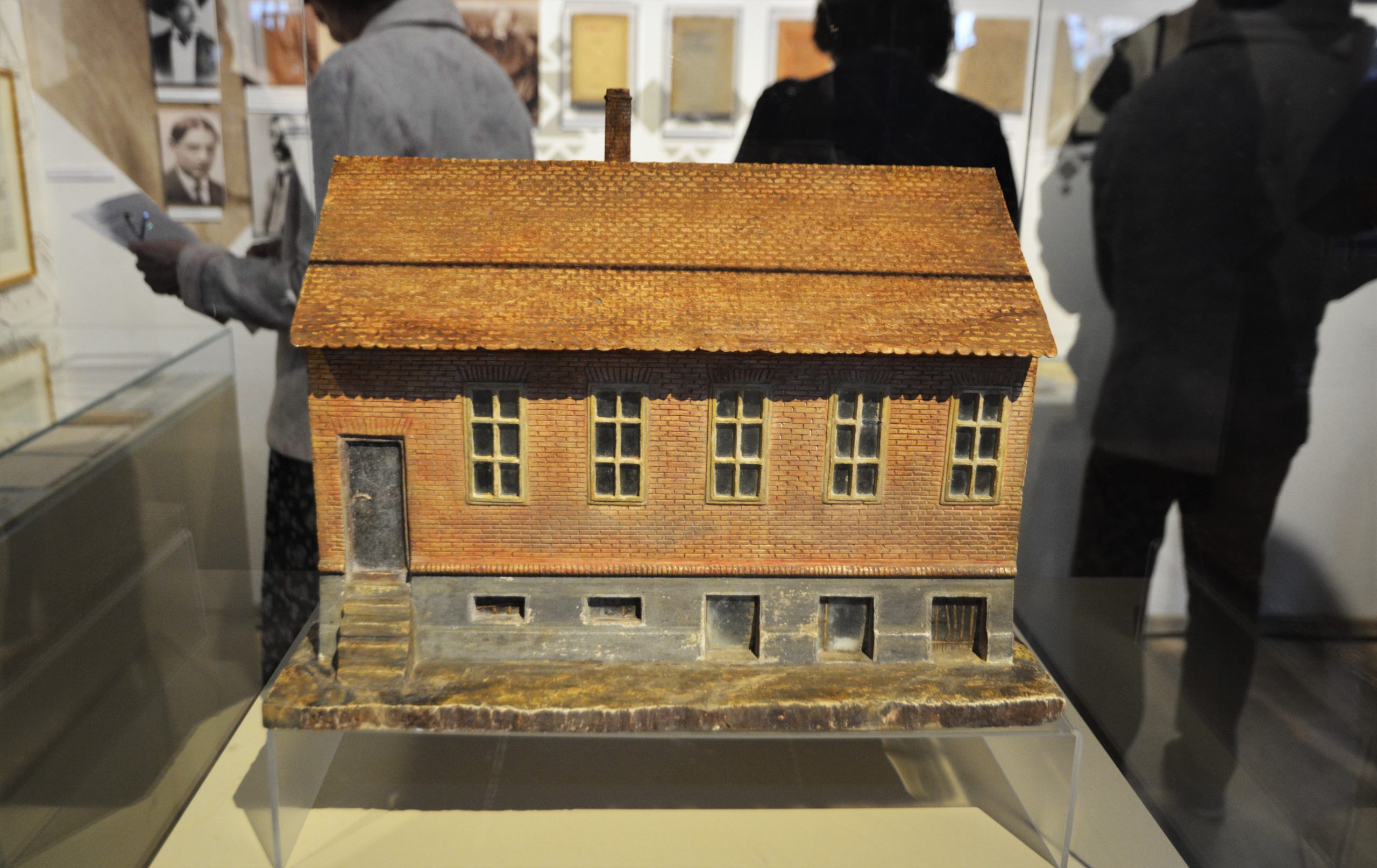 muzeul ady endre oradea (26)