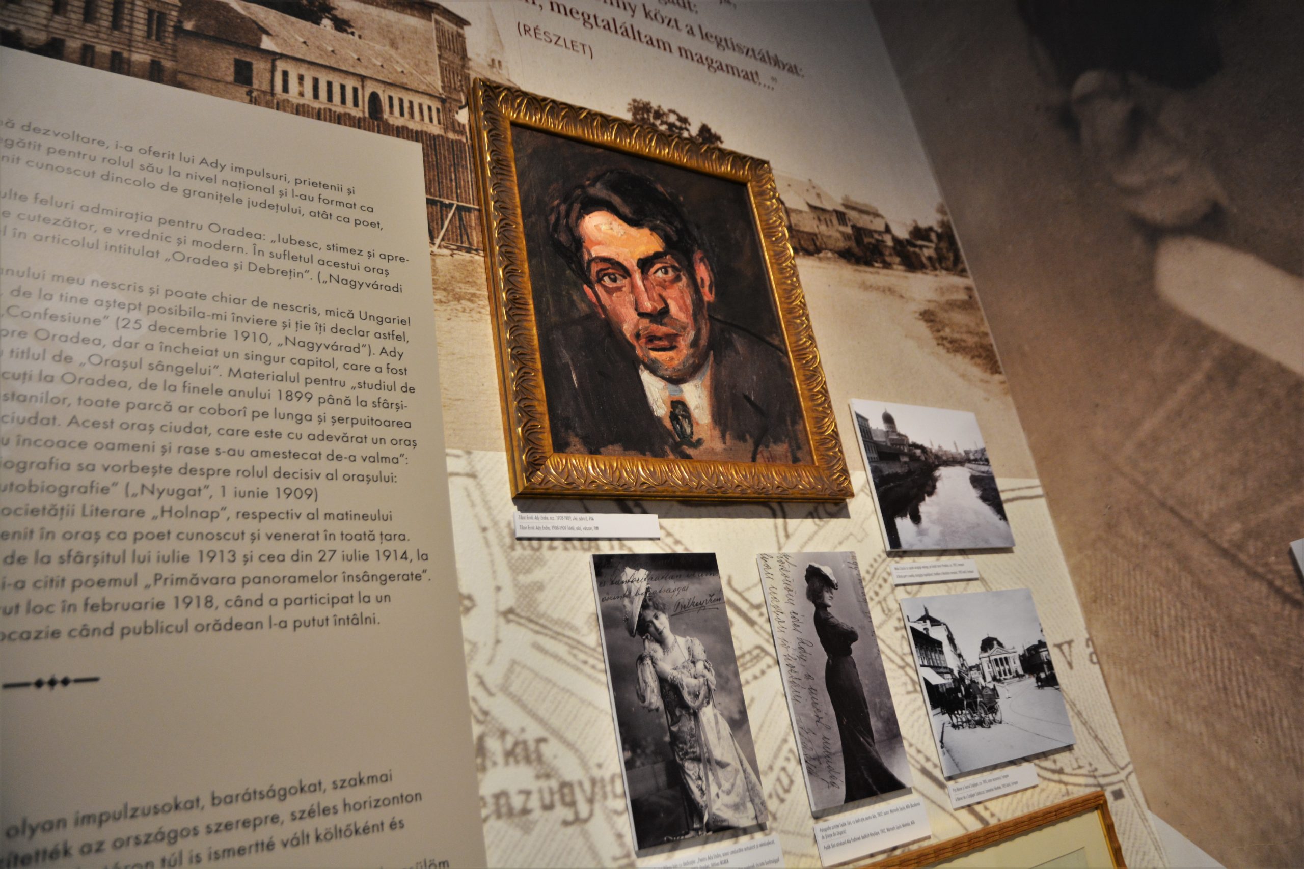 muzeul ady endre oradea (28)