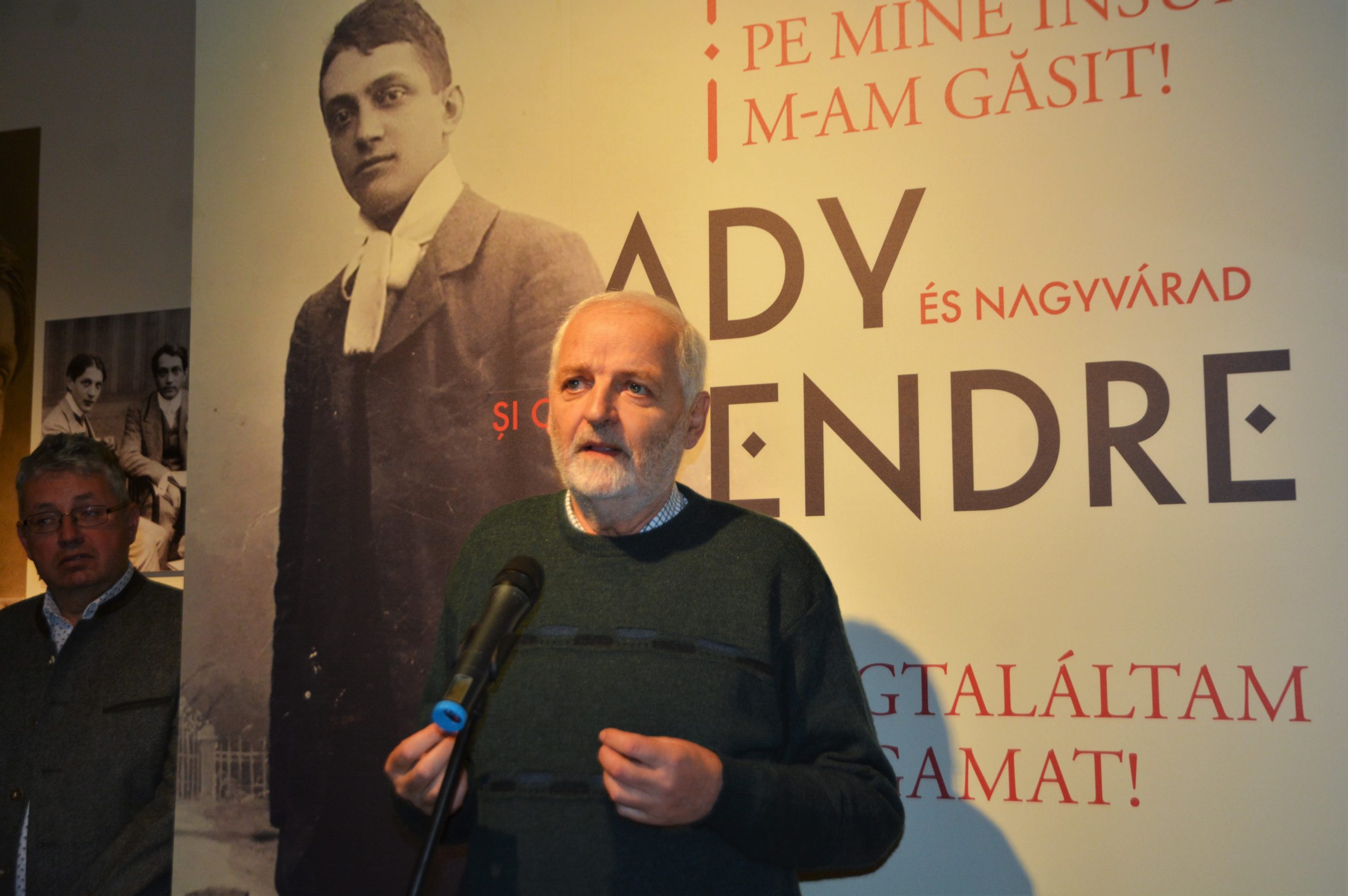 muzeul ady endre oradea (3)