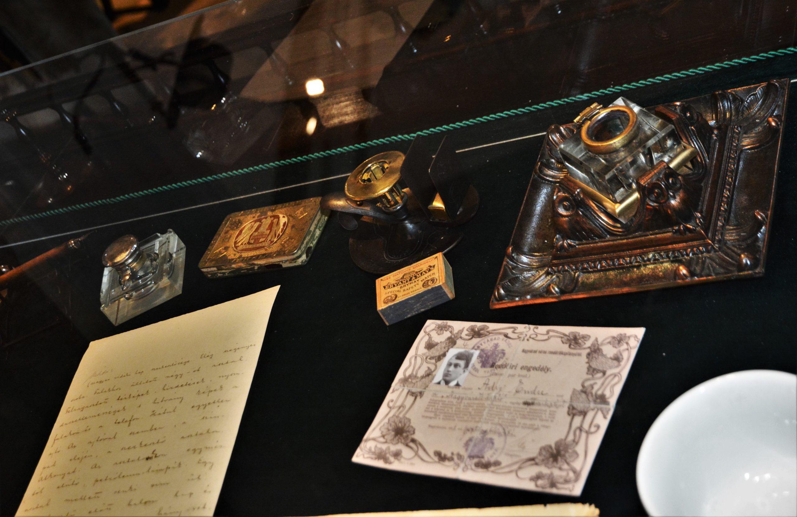 muzeul ady endre oradea (33)