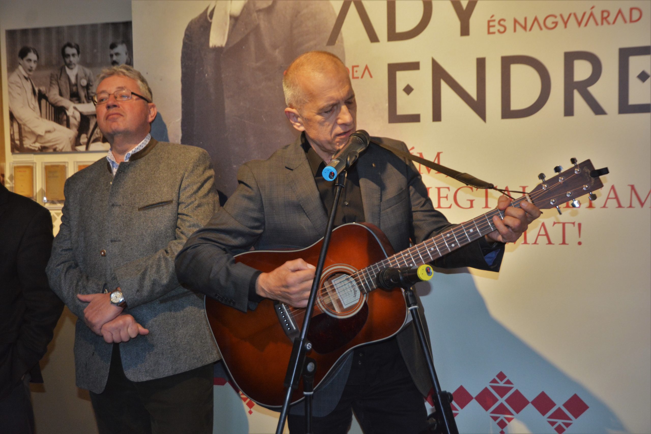 muzeul ady endre oradea (39)