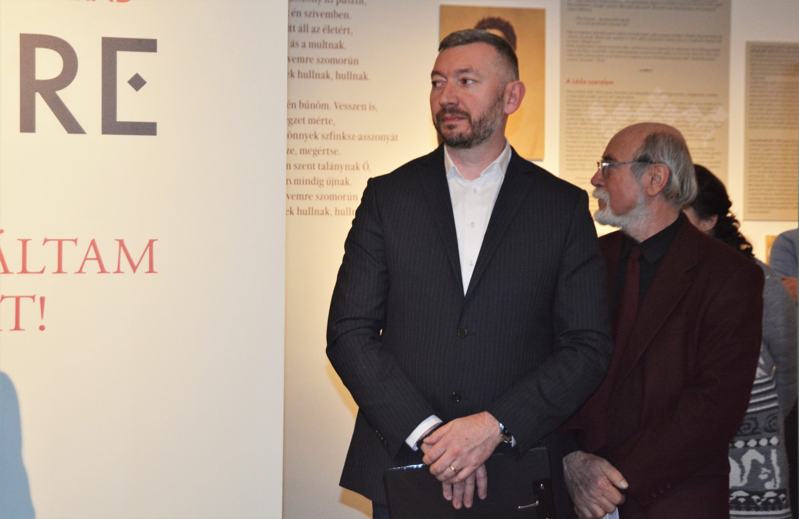 muzeul ady endre oradea (42)