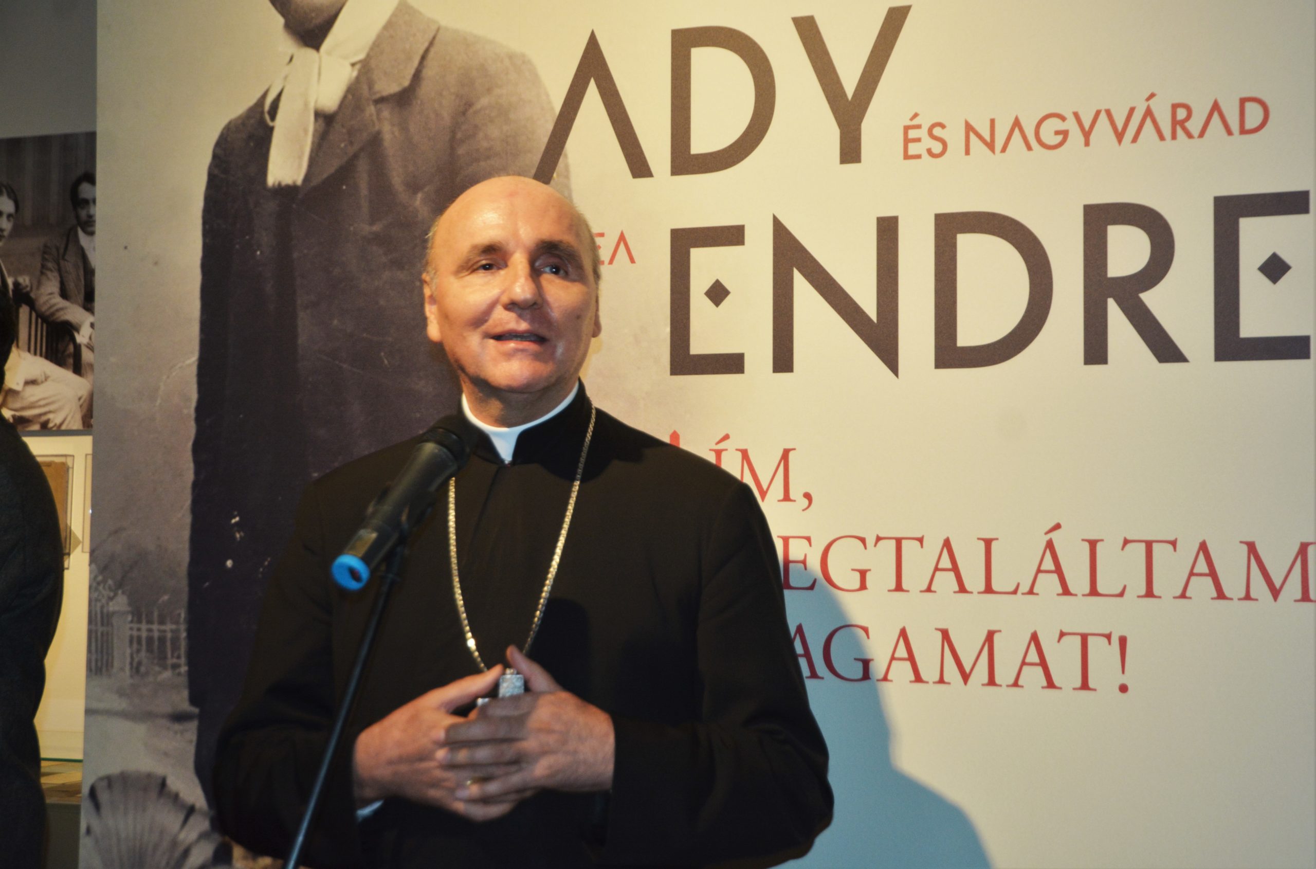 muzeul ady endre oradea (49)
