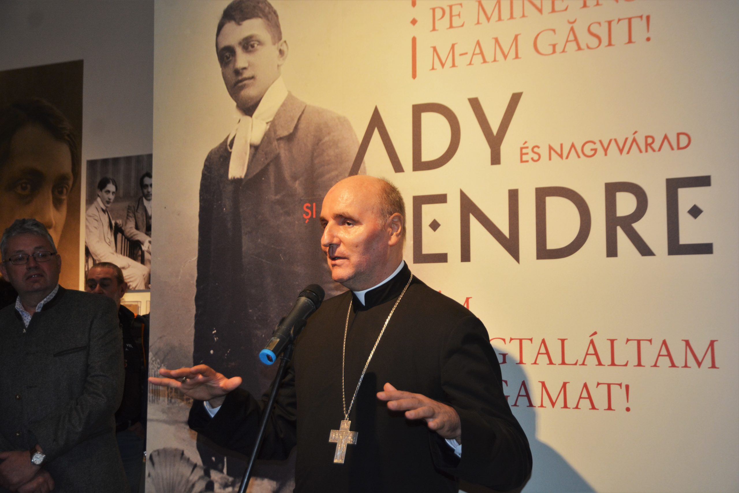 muzeul ady endre oradea (50)